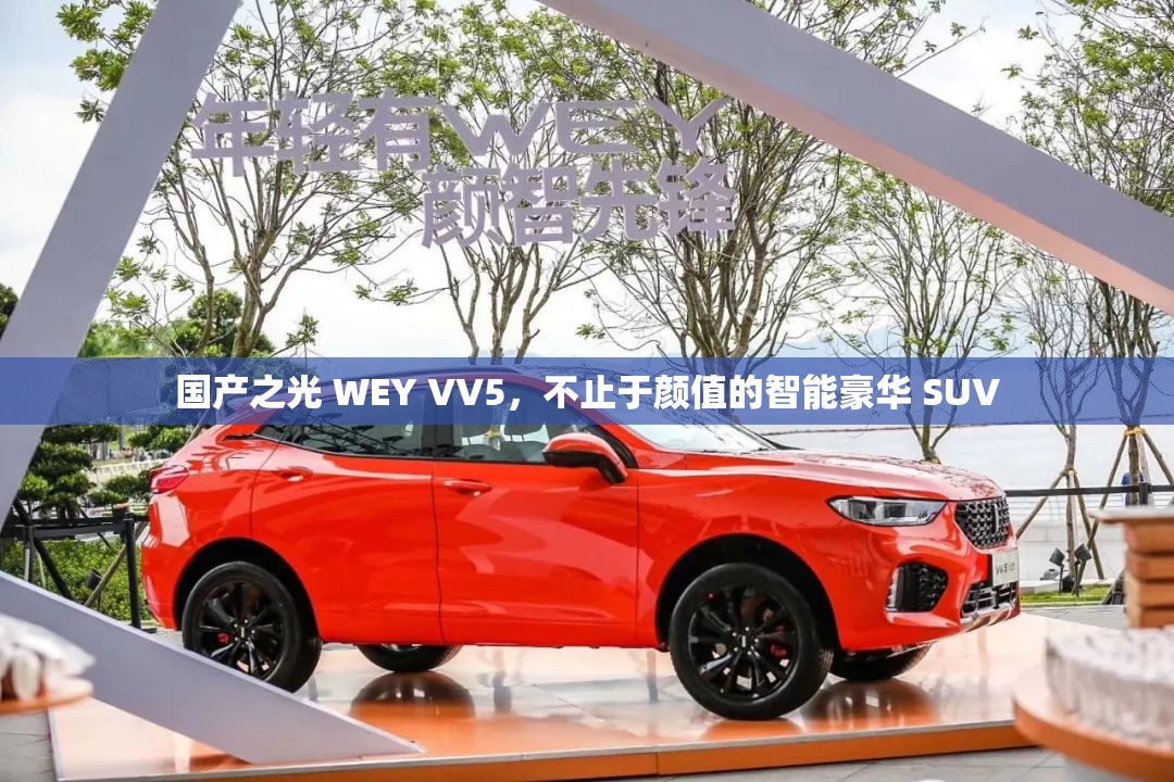 国产之光 WEY VV5，不止于颜值的智能豪华 SUV