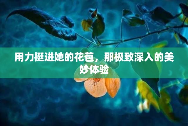 用力挺进她的花苞，那极致深入的美妙体验