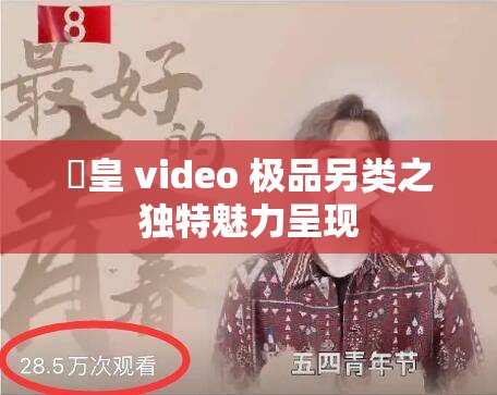 嘼皇 video 极品另类之独特魅力呈现