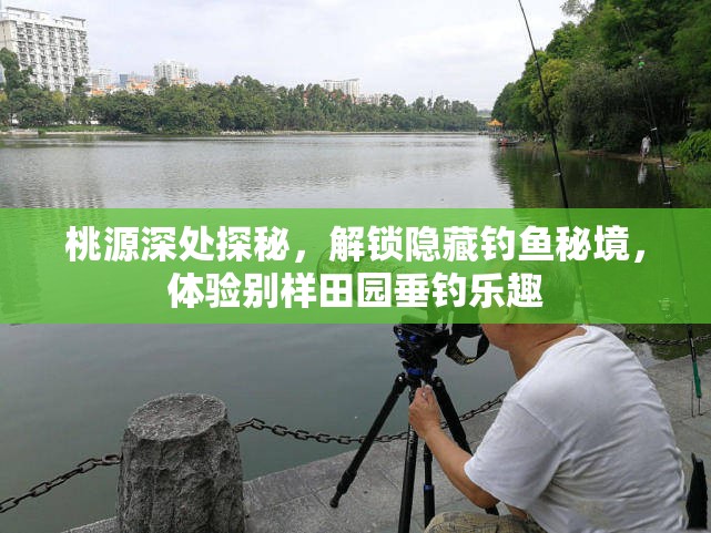 桃源深处探秘，解锁隐藏钓鱼秘境，体验别样田园垂钓乐趣