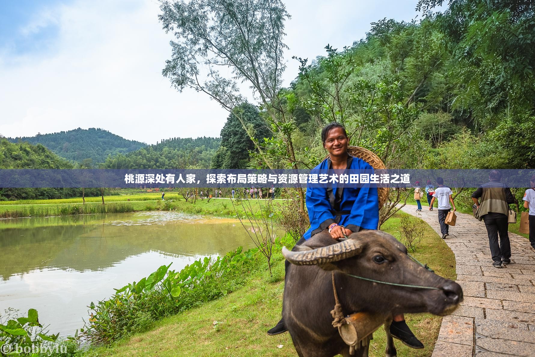 桃源深处有人家，探索布局策略与资源管理艺术的田园生活之道