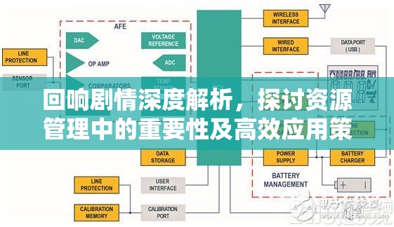 回响剧情深度解析，探讨资源管理中的重要性及高效应用策略