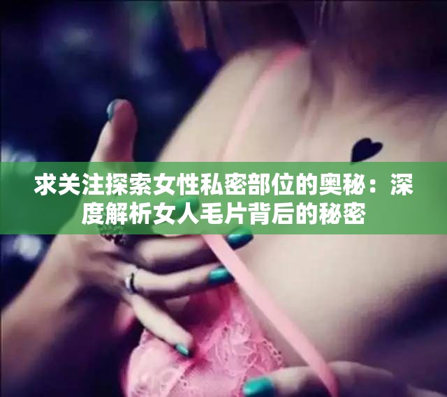 求关注探索女性私密部位的奥秘：深度解析女人毛片背后的秘密