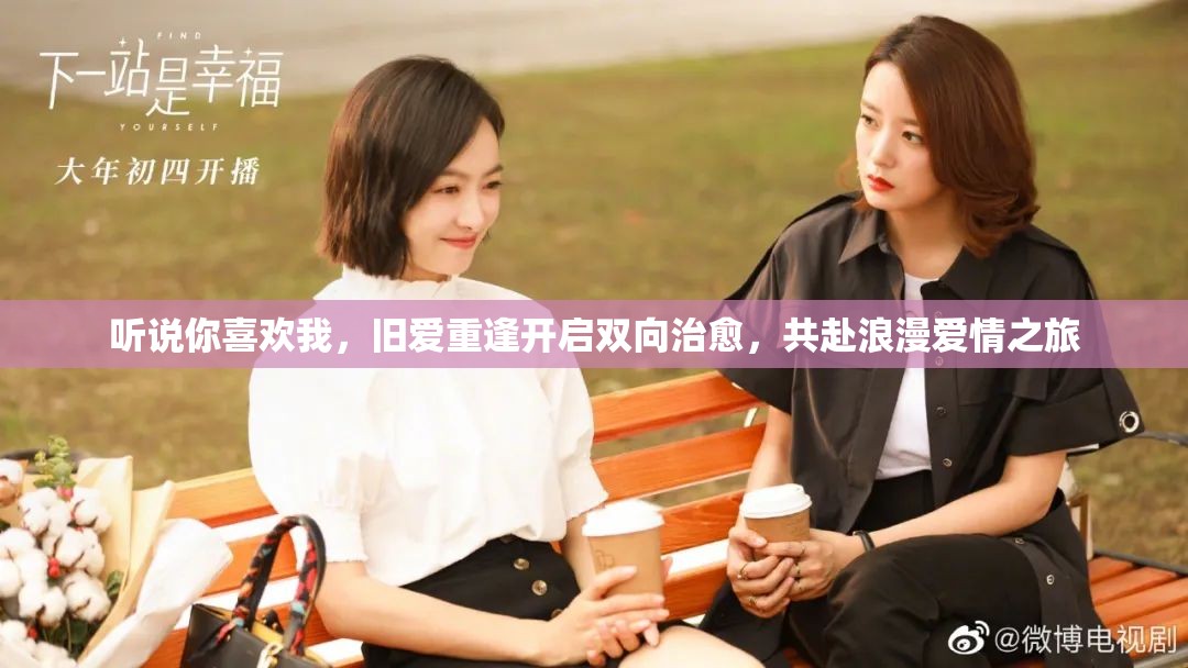 听说你喜欢我，旧爱重逢开启双向治愈，共赴浪漫爱情之旅
