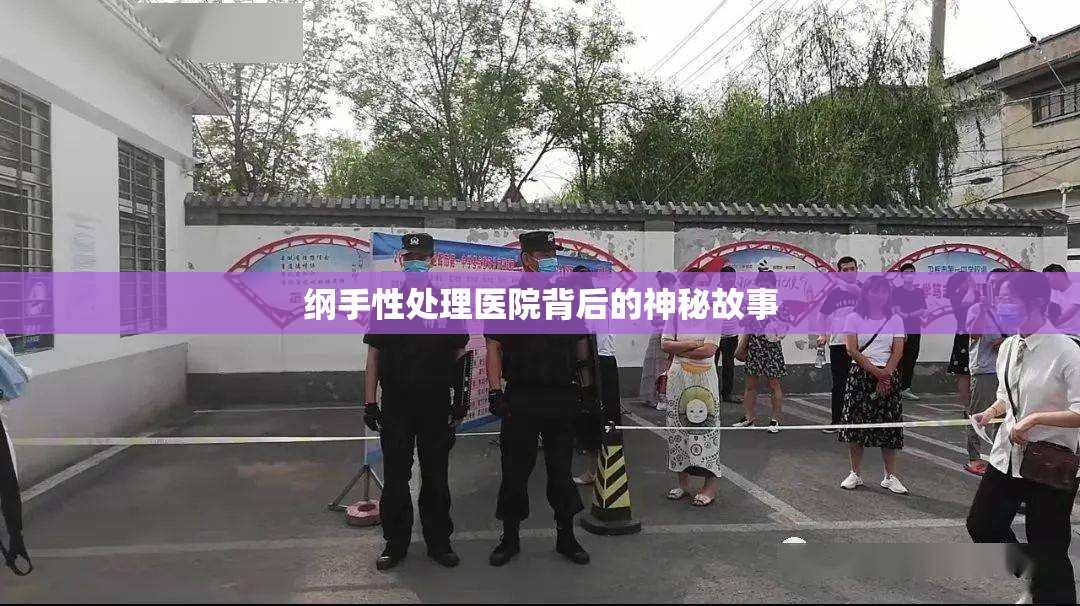 纲手性处理医院背后的神秘故事