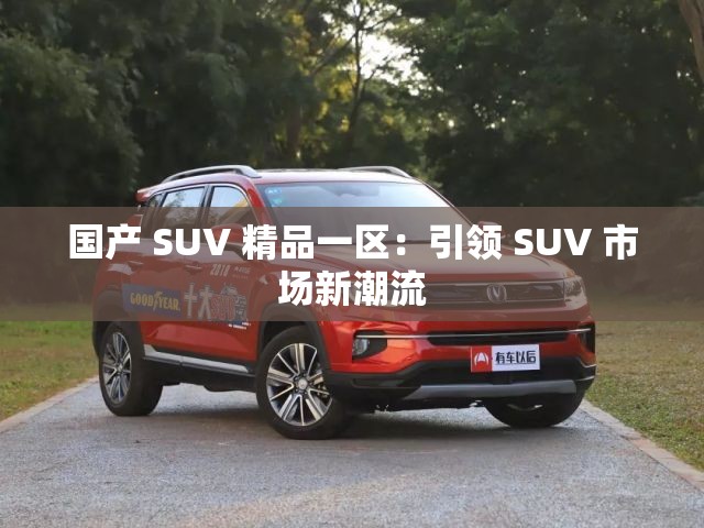 国产 SUV 精品一区：引领 SUV 市场新潮流