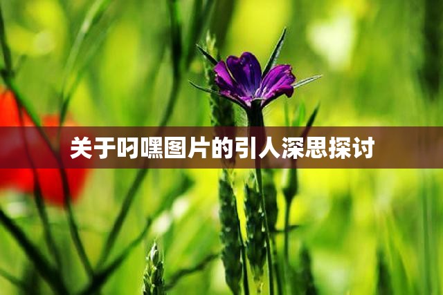 关于叼嘿图片的引人深思探讨