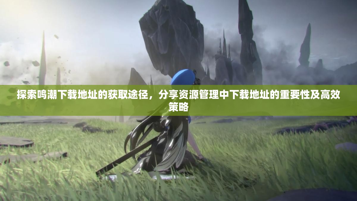 探索鸣潮下载地址的获取途径，分享资源管理中下载地址的重要性及高效策略