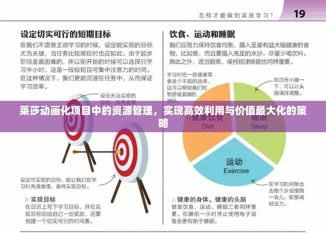 莱莎动画化项目中的资源管理，实现高效利用与价值最大化的策略