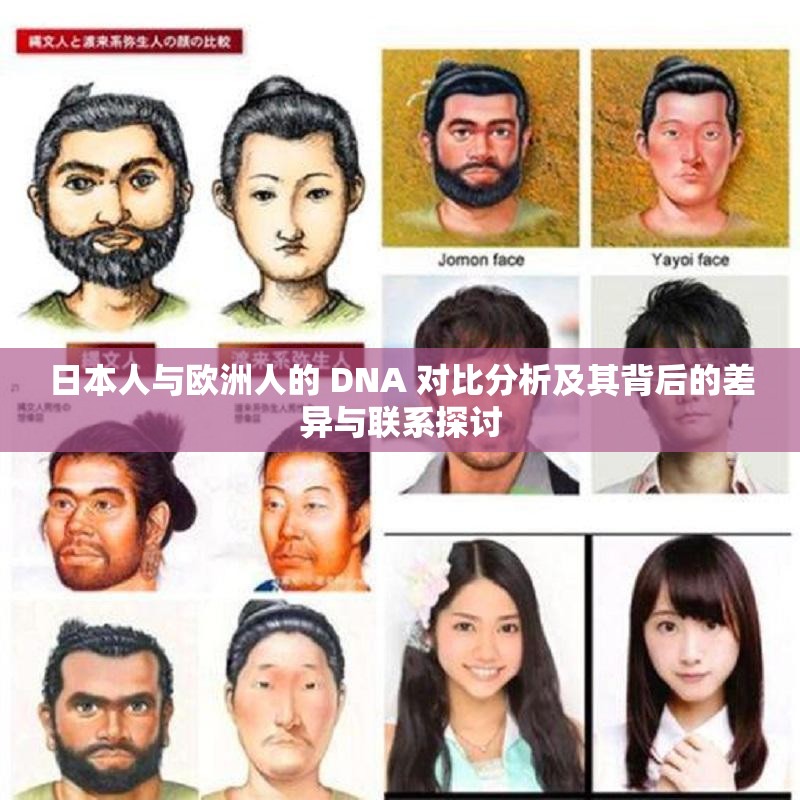 日本人与欧洲人的 DNA 对比分析及其背后的差异与联系探讨
