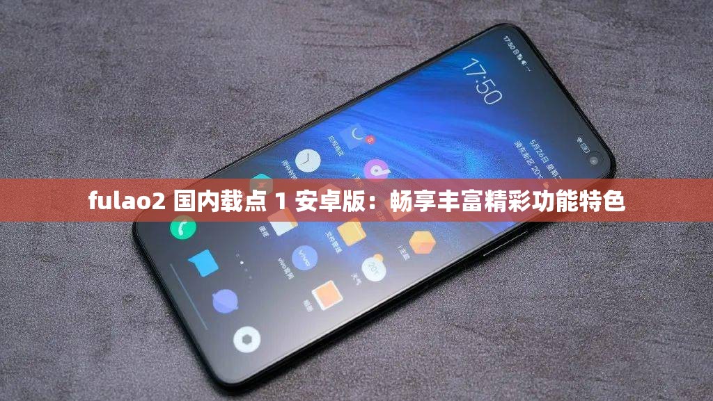 fulao2 国内载点 1 安卓版：畅享丰富精彩功能特色
