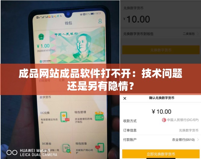 成品网站成品软件打不开：技术问题还是另有隐情？