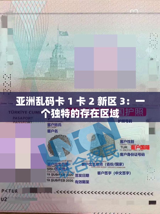 亚洲乱码卡 1 卡 2 新区 3：一个独特的存在区域
