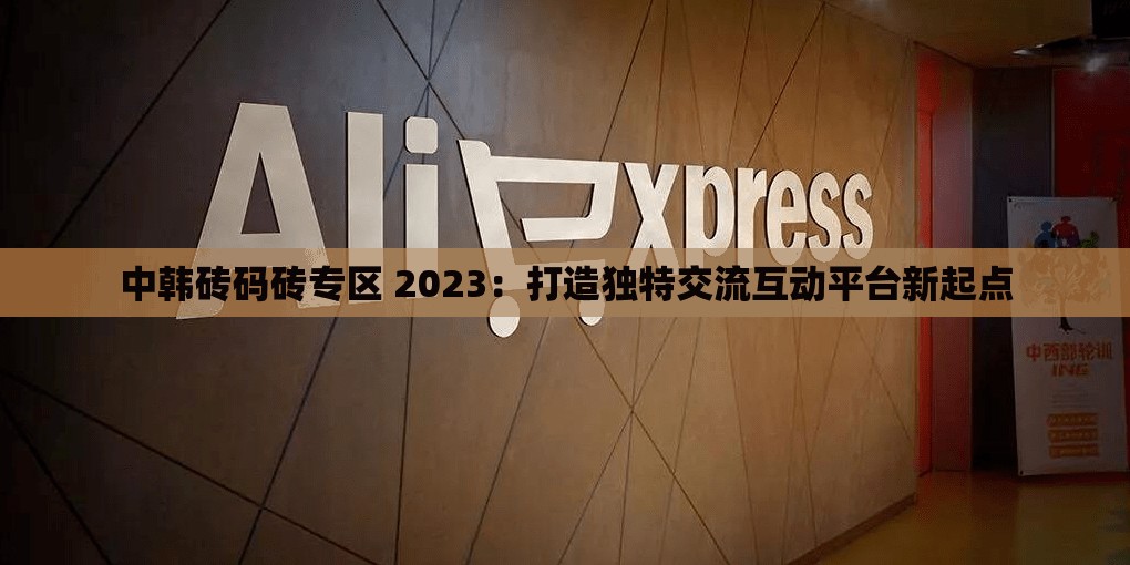 中韩砖码砖专区 2023：打造独特交流互动平台新起点