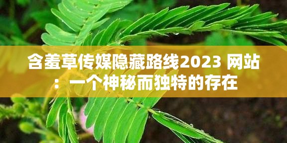 含羞草传媒隐藏路线2023 网站：一个神秘而独特的存在