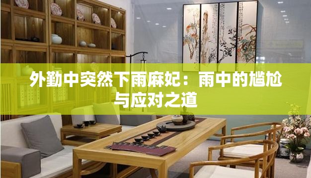 外勤中突然下雨麻妃：雨中的尴尬与应对之道