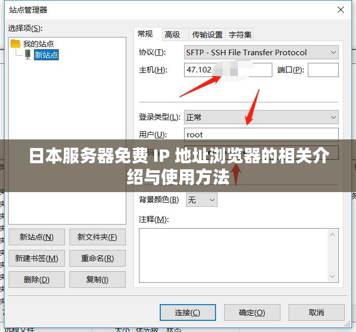 日本服务器免费 IP 地址浏览器的相关介绍与使用方法