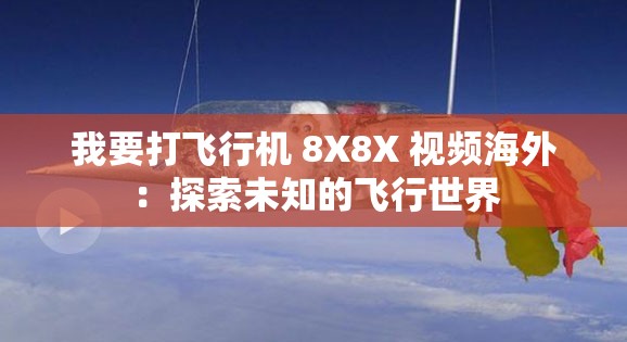 我要打飞行机 8X8X 视频海外：探索未知的飞行世界
