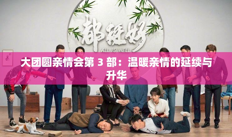大团圆亲情会第 3 部：温暖亲情的延续与升华
