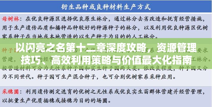 以闪亮之名第十二章深度攻略，资源管理技巧、高效利用策略与价值最大化指南