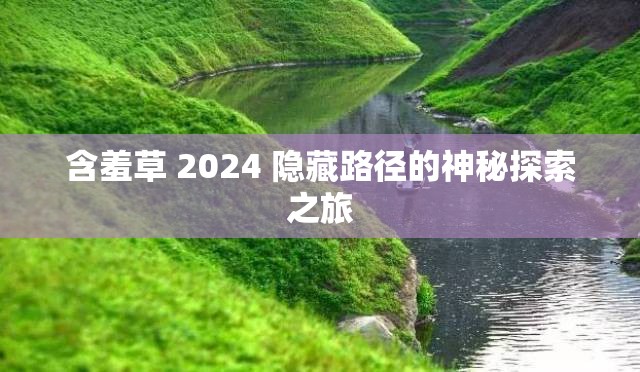 含羞草 2024 隐藏路径的神秘探索之旅