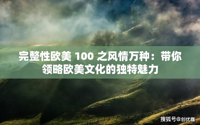 完整性欧美 100 之风情万种：带你领略欧美文化的独特魅力