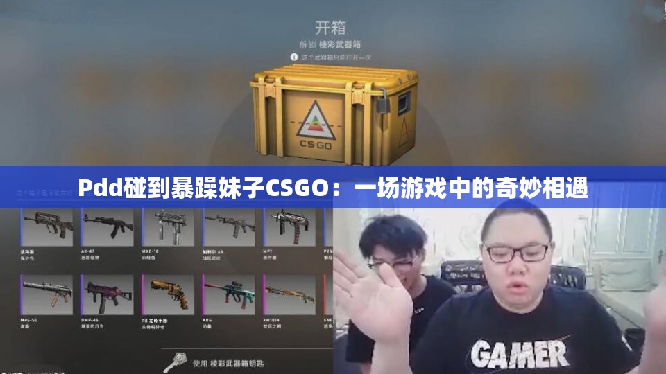 Pdd碰到暴躁妹子CSGO：一场游戏中的奇妙相遇