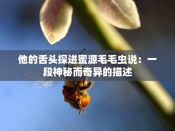 他的舌头探进蜜源毛毛虫说：一段神秘而奇异的描述