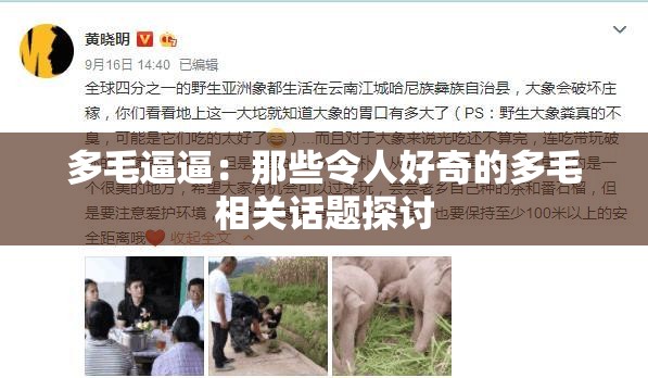 多毛逼逼：那些令人好奇的多毛相关话题探讨