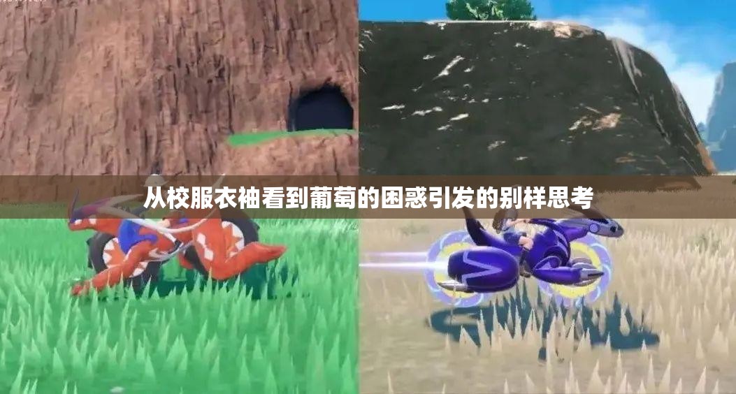 从校服衣袖看到葡萄的困惑引发的别样思考
