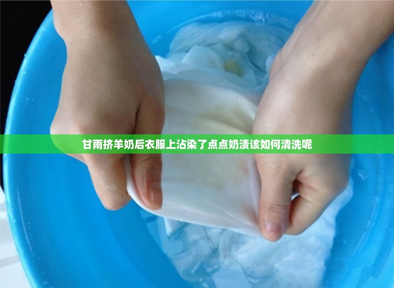 甘雨挤羊奶后衣服上沾染了点点奶渍该如何清洗呢