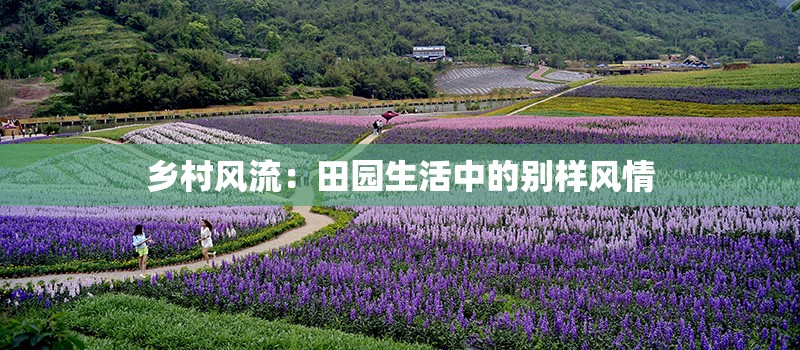 乡村风流：田园生活中的别样风情