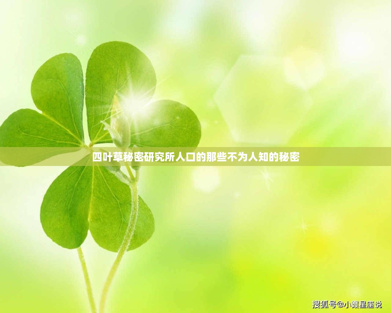 四叶草秘密研究所人口的那些不为人知的秘密