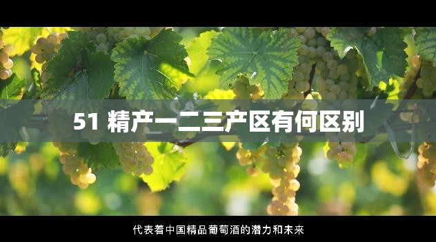 51 精产一二三产区有何区别