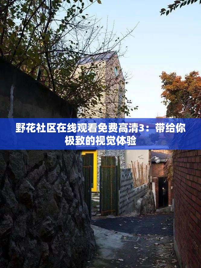 野花社区在线观看免费高清3：带给你极致的视觉体验