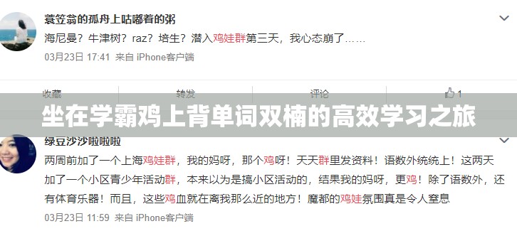 坐在学霸鸡上背单词双楠的高效学习之旅
