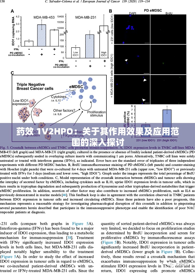 药效 1V2HPO：关于其作用效果及应用范围的深入探讨