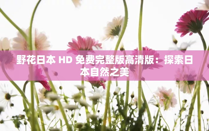 野花日本 HD 免费完整版高清版：探索日本自然之美