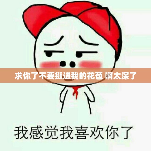 求你了不要挺进我的花苞 啊太深了