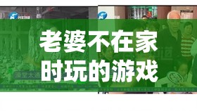 老婆不在家时玩的游戏：探寻家中隐藏的秘密