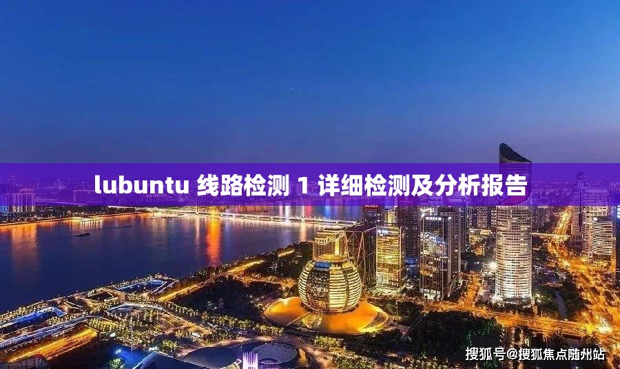 lubuntu 线路检测 1 详细检测及分析报告