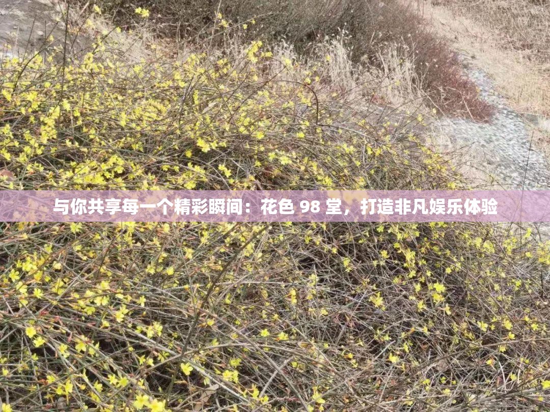 与你共享每一个精彩瞬间：花色 98 堂，打造非凡娱乐体验