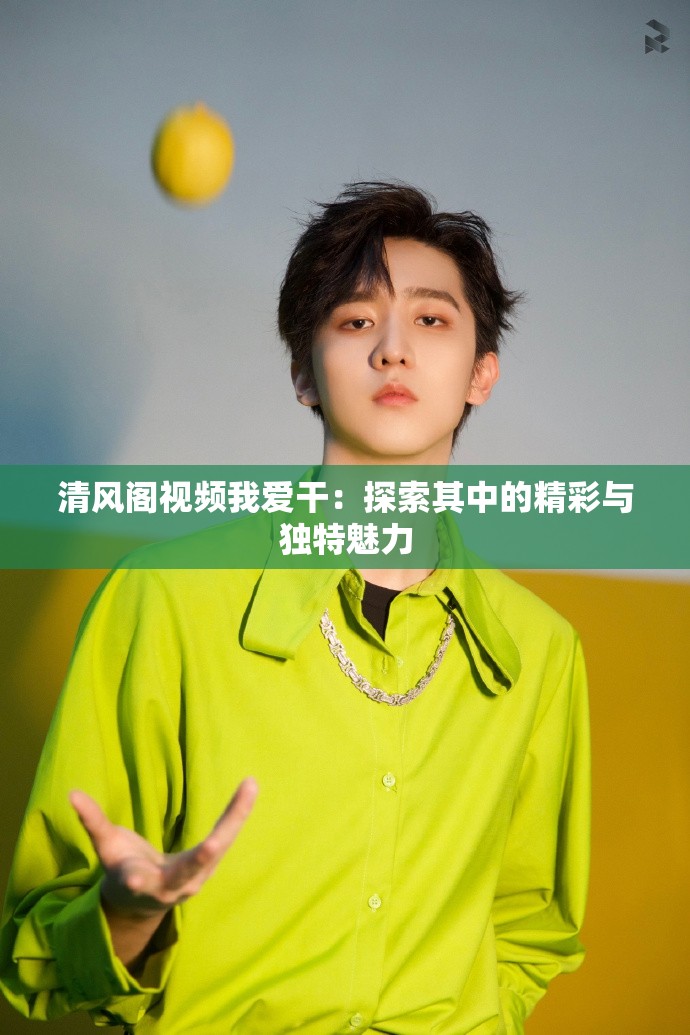 清风阁视频我爱干：探索其中的精彩与独特魅力