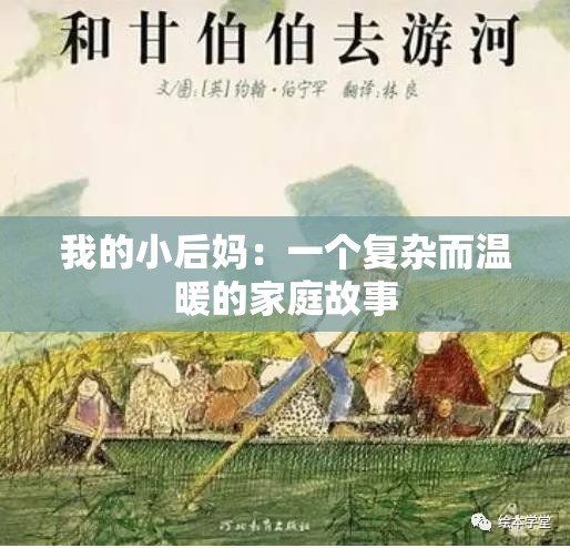 我的小后妈：一个复杂而温暖的家庭故事