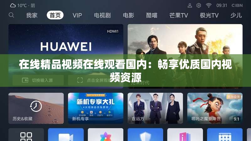 在线精品视频在线观看国内：畅享优质国内视频资源