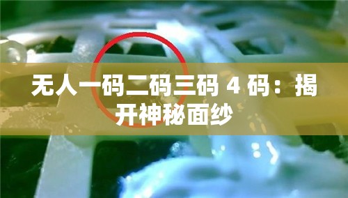 无人一码二码三码 4 码：揭开神秘面纱