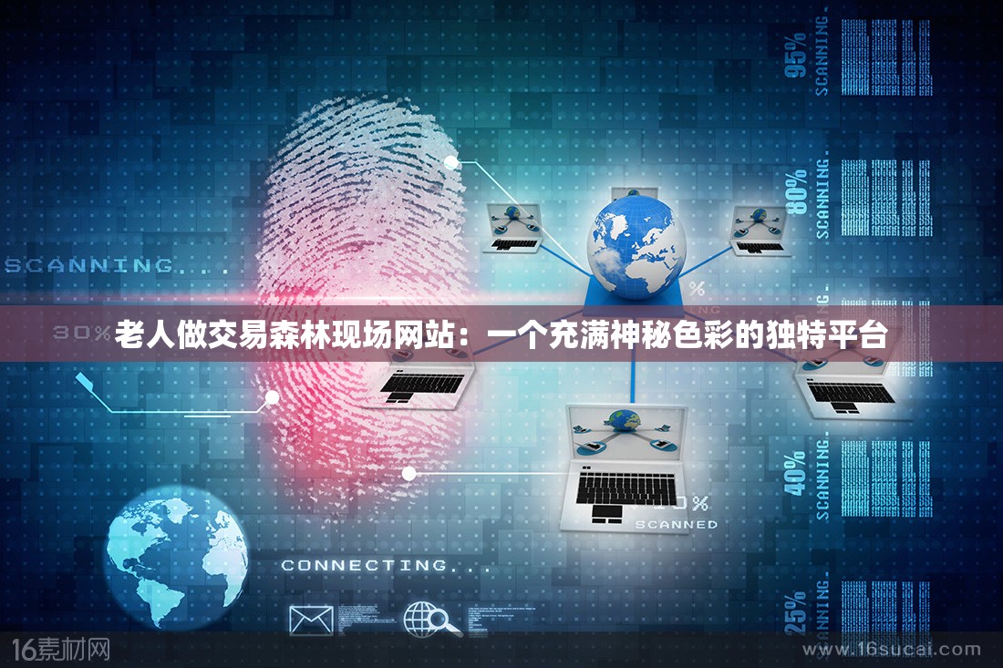 老人做交易森林现场网站：一个充满神秘色彩的独特平台