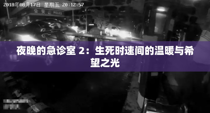 夜晚的急诊室 2：生死时速间的温暖与希望之光