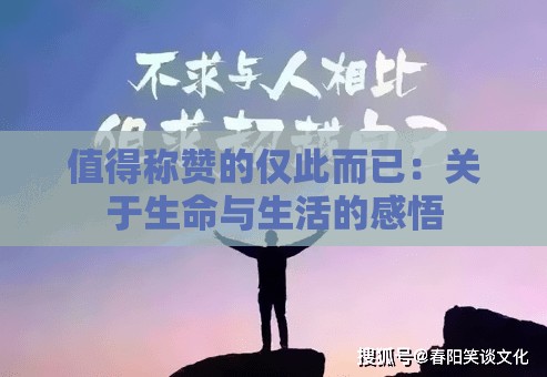 值得称赞的仅此而已：关于生命与生活的感悟