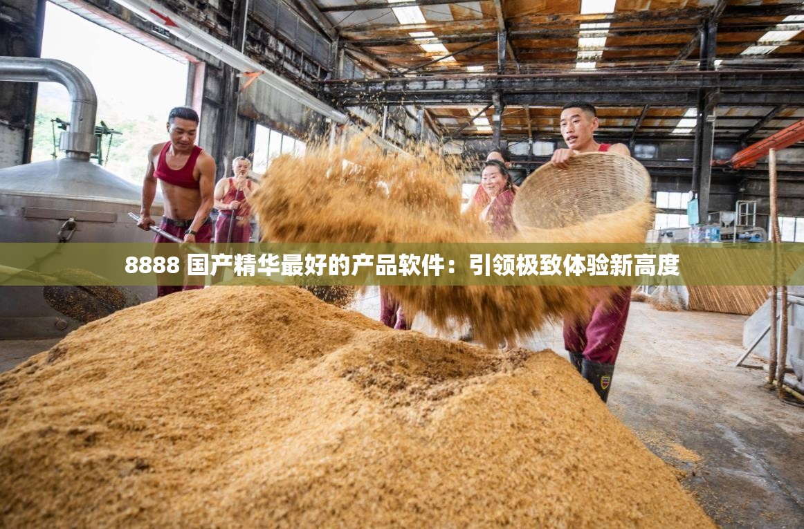 8888 国产精华最好的产品软件：引领极致体验新高度